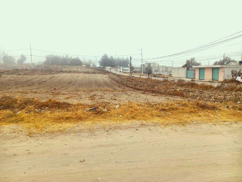 Dimensiones del terreno